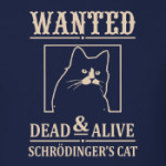 Кот Шрёдингера