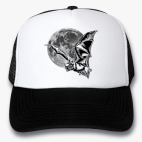 Кепки Trucker