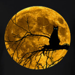 Луна и кошка