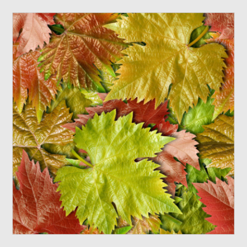 Постер с принтом Осенние листья