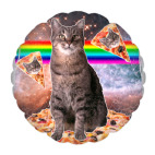 Космический кот