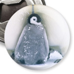  Пингвиненок