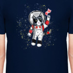 Кот в космосе