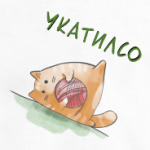 Кот Мягкот, рыжий живот!