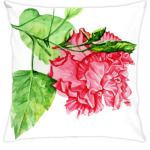 махровый гибискус