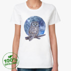 птица сыч сова