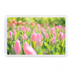 Магнит 7,5 x 5,1 см Тюльпаны на лугу