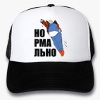 Кепки Trucker