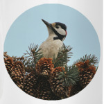 Дятел в шишках