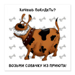 Возьми собачку