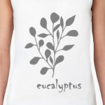 Эвкалиптус