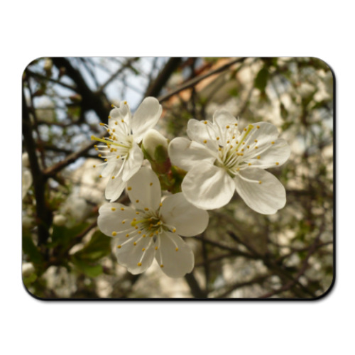 Коврик для мыши цветы