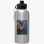 Спортивная бутылка