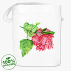 махровый гибискус