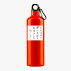 Металлическая бутылка 700 мл UV-DTF