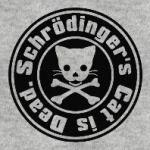 Кот Шрёдингера