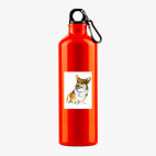 Металлическая бутылка 700 мл UV-DTF