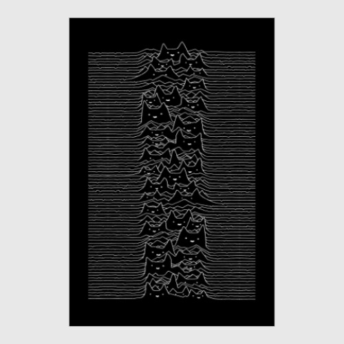 Постер Cat Division Unknown Pleasures