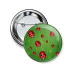 Божьи коровки