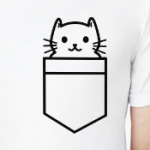 Кот в кармане