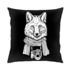 Лис-фотограф