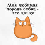 Обожатель кошек