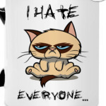 Недовольный кот ( Grumpy cat )