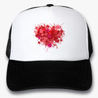 Кепки Trucker