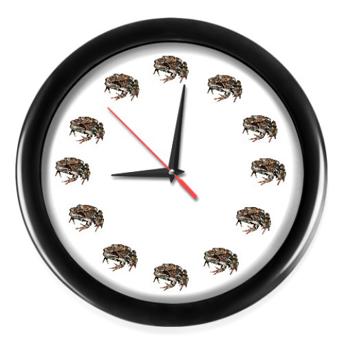 Настенные часы Травяная лягушка
