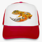 Эуглефарчик