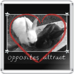 Противоположности притягиваются