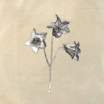 Колокольчик