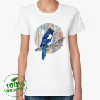 птица сорока