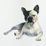 Французский бульдог