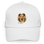 Шотландская овчарка Колли