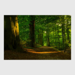 Необычайно красивая природа