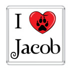 Магнит 6.5 x 6.5 см I love Jacob