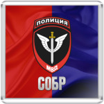 МВД СОБР