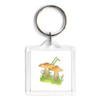 Грибы всегда с тобой