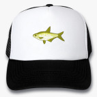 Кепки Trucker