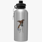 Спортивная бутылка