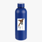 Термобутылка