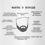 Факты о бороде