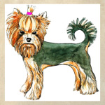 Йоркширский терьер