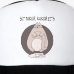 Прикольный кот