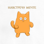 Навстречу мечте