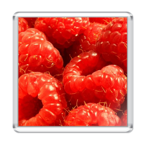 Магнит с принтом  Малина