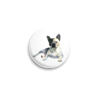 Французский бульдог