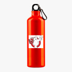 Металлическая бутылка 700 мл UV-DTF