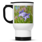 Колокольчики